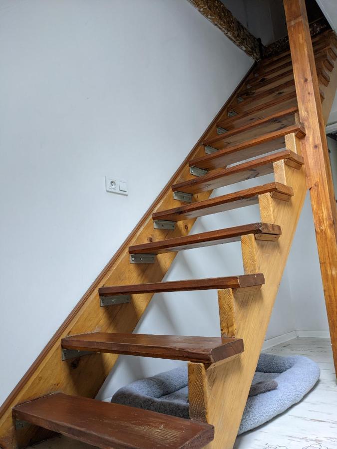Apartament Lux-Centrum غليفيتسه المظهر الخارجي الصورة